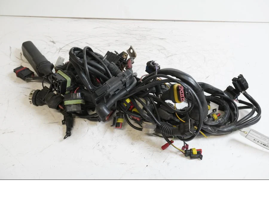 Miniatyrbild 1